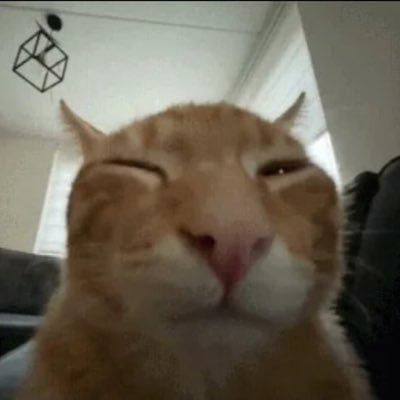 neobilityy's profile picture. collecting pixels