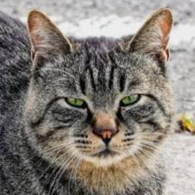 s9gNbGBa5b60215's profile picture. 理科大志望
ほぼ高校生
障害のせいでオタクになれない
ニコ厨 推しはリーフィアとスタサファ