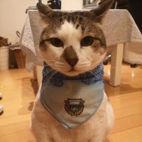 たくわん (@takuwantabetai) 's Twitter Profile Photo