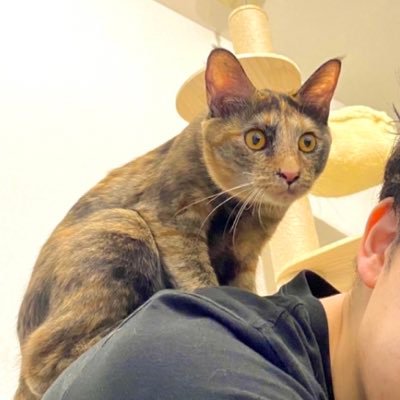 NoirScience's profile picture. トランスポーター、チャネルに興味あり。神経科学分野の研究を始めました。酒と美味い飯でよく優勝します。猫を2匹飼ってます。