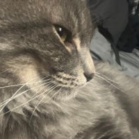 jasonator (@jasonator53) 's Twitter Profile