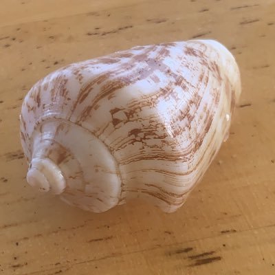 1maab's profile picture. 