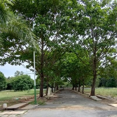 ChandanHr17's profile picture. 