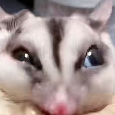 Keppyさんのプロフィール画像