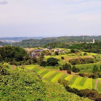 yamak_kGGGmiya's profile picture. 良い御天気で御座います⛅️