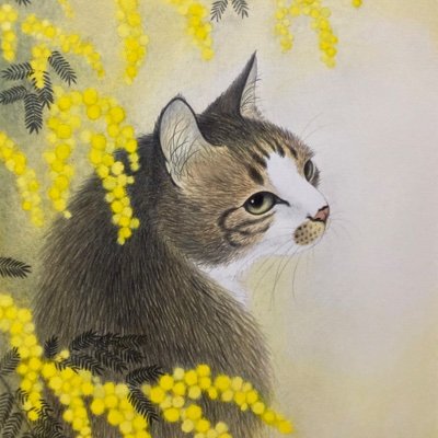 猫◇銅版画◇佐藤恵美「はこべ」銅版画 サインナンバー入り 額装