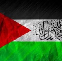 Rohma_F's profile picture. 💐Free Palestine