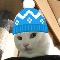 ムギとホップ🐱🍺🐈‍⬛🍊(@miyukitechi) 's Twitter Profile Photo