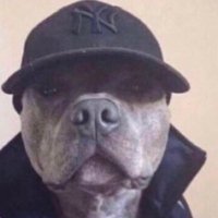 Merca🇨🇲 (@merca_237) 's Twitter Profile Photo