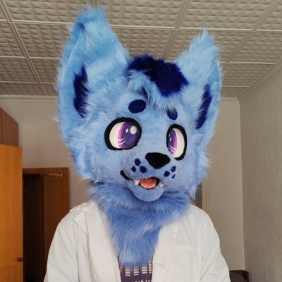 🌌 Estudiante de Física en la Universidad de Alicante. 🐺 Furry. ✨ Fursuit by @edithhateskiwis

🚫 Contenido libre de IA