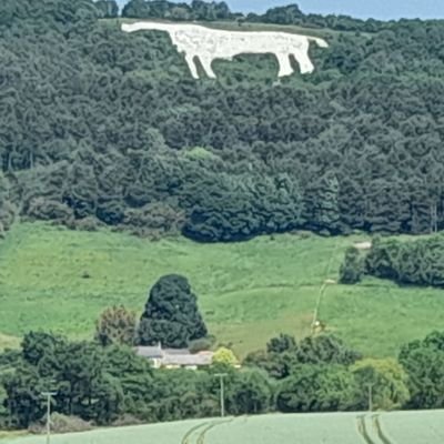 Founder of NHSEngland menopause network. NENC Menopause Lead. An advocate for being outside in nature for wellbeing.
All comments are my own.