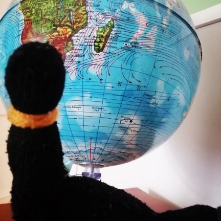 Li_Zt86's profile picture. 