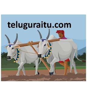 teluguraitu's profile picture. https://t.co/zsKNlykKTh aims to post tips in agriculture, horticulture, and animal husbandry to realize net profits by the farmers