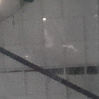 Miguel Ángel (@migueln48848870) 's Twitter Profile Photo Miguel Ángel (@migueln48848870) 's Twitter Profile Photo