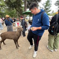max 🤠 (@_maxrowley) 's Twitter Profile Photo max 🤠 (@_maxrowley) 's Twitter Profile Photo