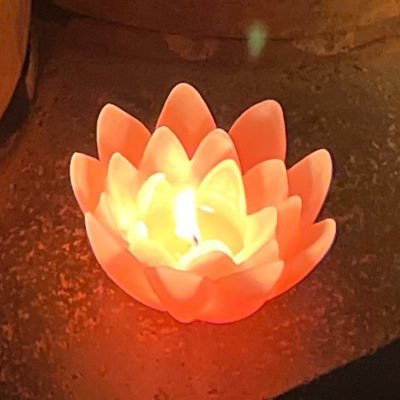 naturin7's profile picture. 基本ROM専です。