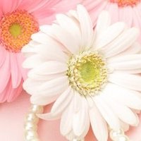 Fumiyo (@fuf2ogclrmgiagz) 's Twitter Profile Photo Fumiyo (@fuf2ogclrmgiagz) 's Twitter Profile Photo