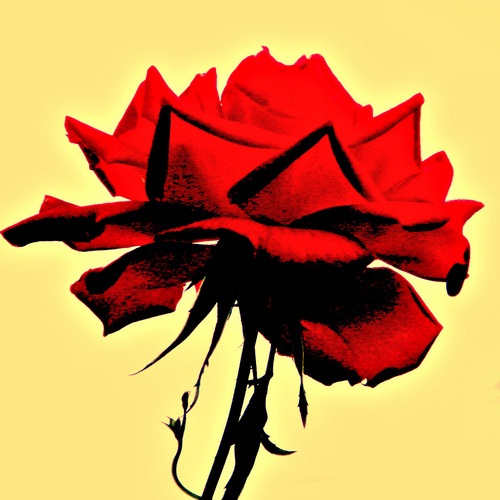 Tender_kotonoha's profile picture. 〔言の葉を集めよう〕　心の琴線に触れた「言の葉」を、 #tender で送ってください。
〔Let's gather words, touched the hearts of yours !〕
Send here !  #tender