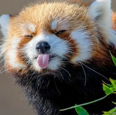 krnmyr's profile picture. 