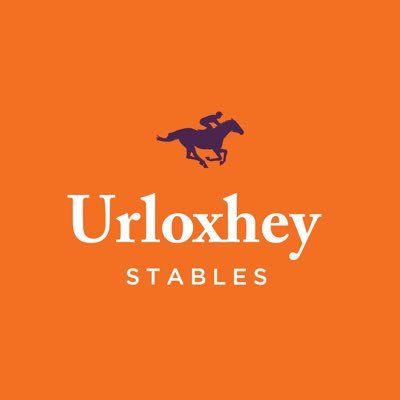 UrloxheyStables Profile Picture