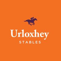 Richard Newland & Jamie Insole Racing(@UrloxheyStables) 's Twitter Profileg