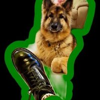 CryptoPunk (@5greenqueens) 's Twitter Profile Photo CryptoPunk (@5greenqueens) 's Twitter Profile Photo