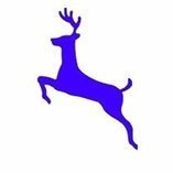 Blue Deer Capital Profile