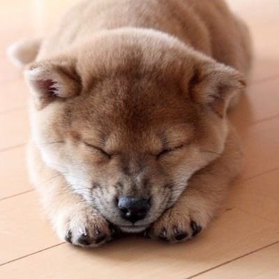 FNisXB0Czv21694's profile picture. 