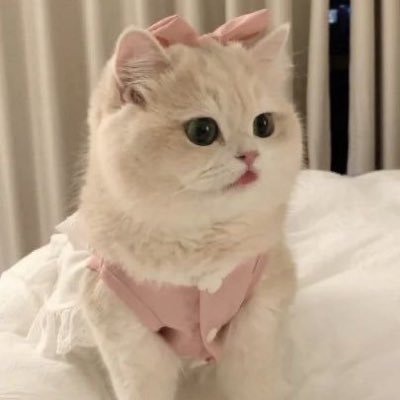 りる【 LFKing 】さんのプロフィール画像