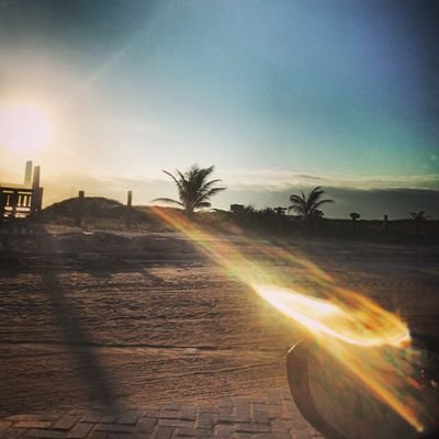 ROBERTORVM1's profile picture. R&K