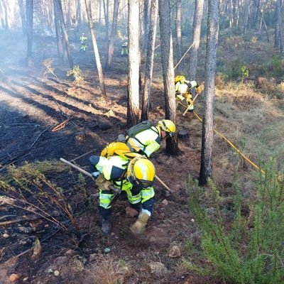 Bomber Forestal GVA🌲🚒

(T.S Gestión Forestal y del Medio Natural - C.E Cheste)

(T.M  A.C.M.N - I.E.S  Alto Turia)