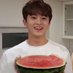 fi🌱 (@peachyfoss) Twitter profile photo fi🌱 (@peachyfoss) Twitter profile photo