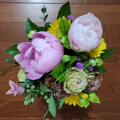 usappi_rose's profile picture. 