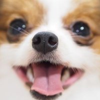 ゆう@撮影垢📷 (@oyuphoto) Twitter profile photo