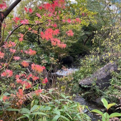 📍𝙏𝙤𝙠𝙮𝙤, 𝙅𝙖𝙥𝙖𝙣 私の日本での日常生活を共有します。綺麗な写真を撮るのが好きです。