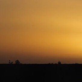 Captain2342's profile picture. 🌱