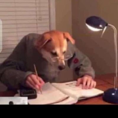StevenWagu84264's profile picture.