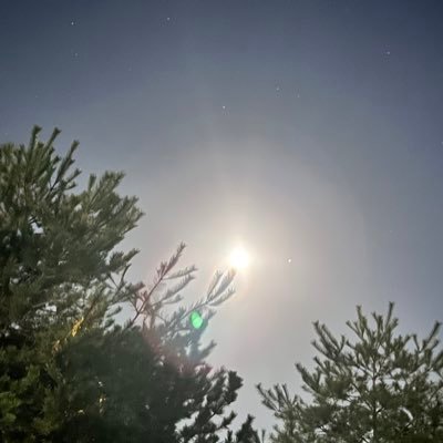 _kinomi_104's profile picture. 