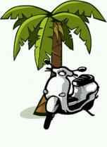 islandscooterkw's profile picture. Rental and sales of trike scooters, gas scooters, mobility scooters, bikes