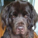 lee markham - @leela3643 - Twitter