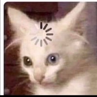 Chrissy🤍 (@chris_cee_yuh) 's Twitter Profile