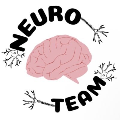 Neuro Team 🧠