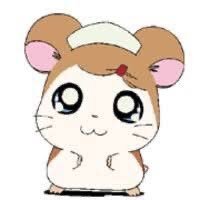 raisu_tokudai's profile picture. 生きてる、