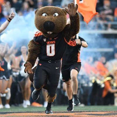 beavs3214626's profile picture. PDX / SEATAC