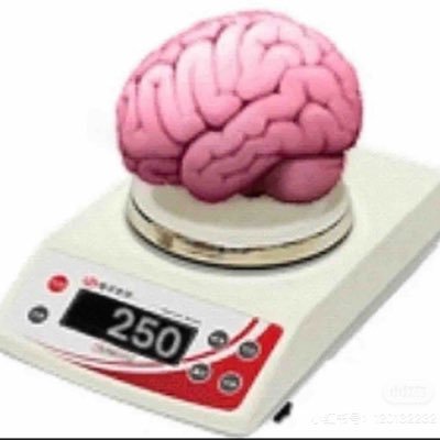 luanbingran's profile picture. 