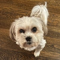 balm (@elbalm) 's Twitter Profile Photo balm (@elbalm) 's Twitter Profile Photo