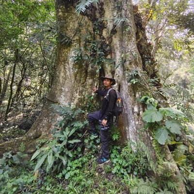 rbty_01lonewolf's profile picture. https://t.co/2V5iVRsOnK (Wildlife Science) at Wildlife Institute Of India-Dehradun

@Interest in Primates#Carnivores# Corridor - Connectivity## Wildlife Conservation