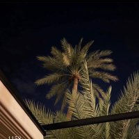 - (@n52ii_) 's Twitter Profile