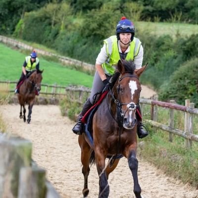 mrs_showtime375's profile picture. *Work rider at Paul Nicholls Racing 
*Regional League 3 netballer for Galmington Netball Club 💙💛
*Novice cricketer for Taunton Deane (Women) Cricket Club 💚🖤