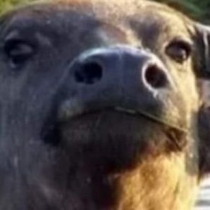 JAMIEJAIGAROON's profile picture. ผมสามารถขี้โดยไม่ไช่ที่ฉีดก้น